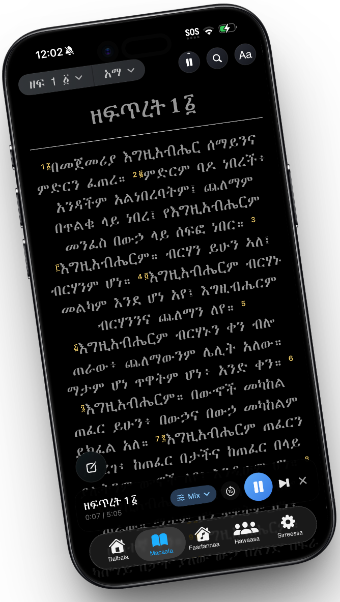 Trinity Amharic Bible reader phone mockup